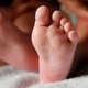 Illustration for article titled Human Fetuses Develop Lizard-Like Body Parts That Disappear Before Birth